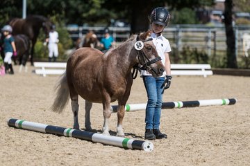 Bild 178 - Pony Akademie Turnier